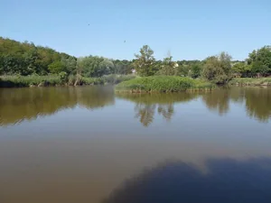 Galéria
