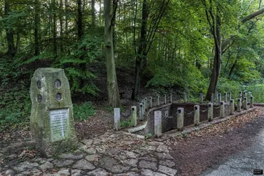 Fotó: keag.hu