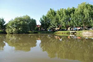 Galéria