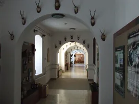 Erdészeti Múzeum borítóképe